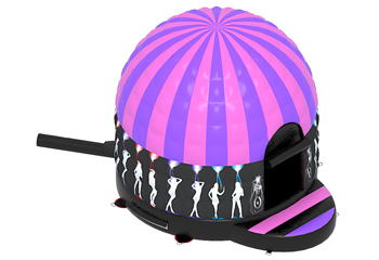 Purple Pink Disco Dome