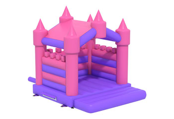 Pink&Purple Bouncy Castle