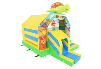 Slide Combo  Hawaii Bouncy Slide Combo