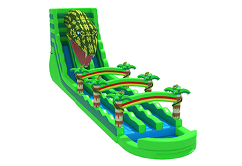 Snake King Water Slide