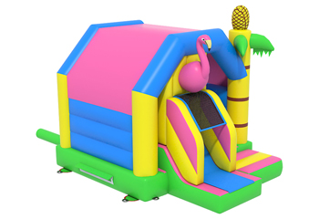 Front Slide Combo Flamingo Bouncy Castle