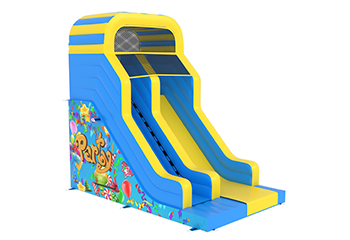 Party Slide (3m Platform)