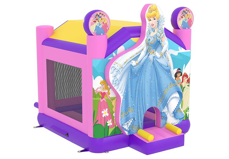 Princess bounce house